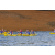 Team 36 / Raid Amazones Vietnam 2019 - J1 Canoe