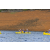 Team 111 / Raid Amazones Vietnam 2019 - J1 Canoe