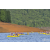 Raid Amazones Vietnam 2019 - J1 Canoe