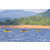 Raid Amazones Vietnam 2019 - J1 Canoe
