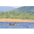 Team 135 / Raid Amazones Vietnam 2019 - J1 Canoe