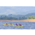 Team 14 / Raid Amazones Vietnam 2019 - J1 Canoe