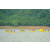 Raid Amazones Vietnam 2019 - J1 Canoe