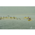 Team 84 / Raid Amazones Vietnam 2019 - J1 Canoe