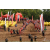 Raid Amazones Vietnam 2019 - J1 Canoe