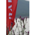 Raid Amazones Vietnam 2019 - J1 Canoe