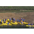 Raid Amazones Vietnam 2019 - J1 Canoe