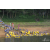 Raid Amazones Vietnam 2019 - J1 Canoe