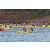 Team 88 / Raid Amazones Vietnam 2019 - J1 Canoe