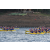Raid Amazones Vietnam 2019 - J1 Canoe