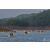 Raid Amazones Vietnam 2019 - J1 Canoe