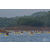 Raid Amazones Vietnam 2019 - J1 Canoe