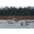 Raid Amazones Vietnam 2019 - J1 Canoe