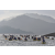 Raid Amazones Vietnam 2019 - J1 Canoe