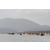Raid Amazones Vietnam 2019 - J1 Canoe