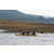 Team 123 / Raid Amazones Vietnam 2019 - J1 Canoe
