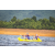 Team 28 / Raid Amazones Vietnam 2019 - J1 Canoe