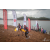 Team 08 / Raid Amazones Vietnam 2019 - J1 Canoe