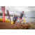 Team 117 / Raid Amazones Vietnam 2019 - J1 Canoe