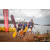 Team 111 / Raid Amazones Vietnam 2019 - J1 Canoe