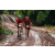 Team 10 / Raid Amazones Vietnam 2019 - J2 Bike and Run