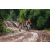 Team 123 / Raid Amazones Vietnam 2019 - J2 Bike and Run