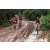 Team 116 / Raid Amazones Vietnam 2019 - J2 Bike and Run