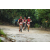 Team 117 / Raid Amazones Vietnam 2019 - J2 Bike and Run