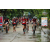 Team 67 / Raid Amazones Vietnam 2019 - J2 Bike and Run
