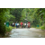 Team 31 / Raid Amazones Vietnam 2019 - J2 Bike and Run