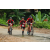 Team 144 / Raid Amazones Vietnam 2019 - J2 Bike and Run