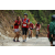 Team 107 / Raid Amazones Vietnam 2019 - J2 Bike and Run