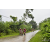 Raid Amazones Vietnam 2019 - J2 Bike and Run