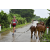 Raid Amazones Vietnam 2019 - J2 Bike and Run