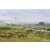 Raid Amazones Vietnam 2019 - J2 Bike and Run