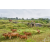 Raid Amazones Vietnam 2019 - J2 Bike and Run