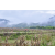 Raid Amazones Vietnam 2019 - J2 Bike and Run