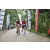 Team 10 / Raid Amazones Vietnam 2019 - J2 Bike and Run
