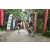 Team 62 / Raid Amazones Vietnam 2019 - J2 Bike and Run