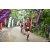 Team 65 / Raid Amazones Vietnam 2019 - J2 Bike and Run