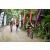 Team 137 / Raid Amazones Vietnam 2019 - J2 Bike and Run