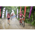 Team 38 / Raid Amazones Vietnam 2019 - J2 Bike and Run
