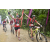Team 40 / Raid Amazones Vietnam 2019 - J2 Bike and Run