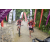 Team 127 / Raid Amazones Vietnam 2019 - J2 Bike and Run