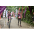 Team 73 / Raid Amazones Vietnam 2019 - J2 Bike and Run