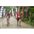 Team 31 / Raid Amazones Vietnam 2019 - J2 Bike and Run