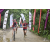 Team 70 / Raid Amazones Vietnam 2019 - J2 Bike and Run