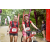 Team 72 / Raid Amazones Vietnam 2019 - J2 Bike and Run