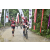 Team 87 / Raid Amazones Vietnam 2019 - J2 Bike and Run