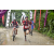 Team 111 / Raid Amazones Vietnam 2019 - J2 Bike and Run